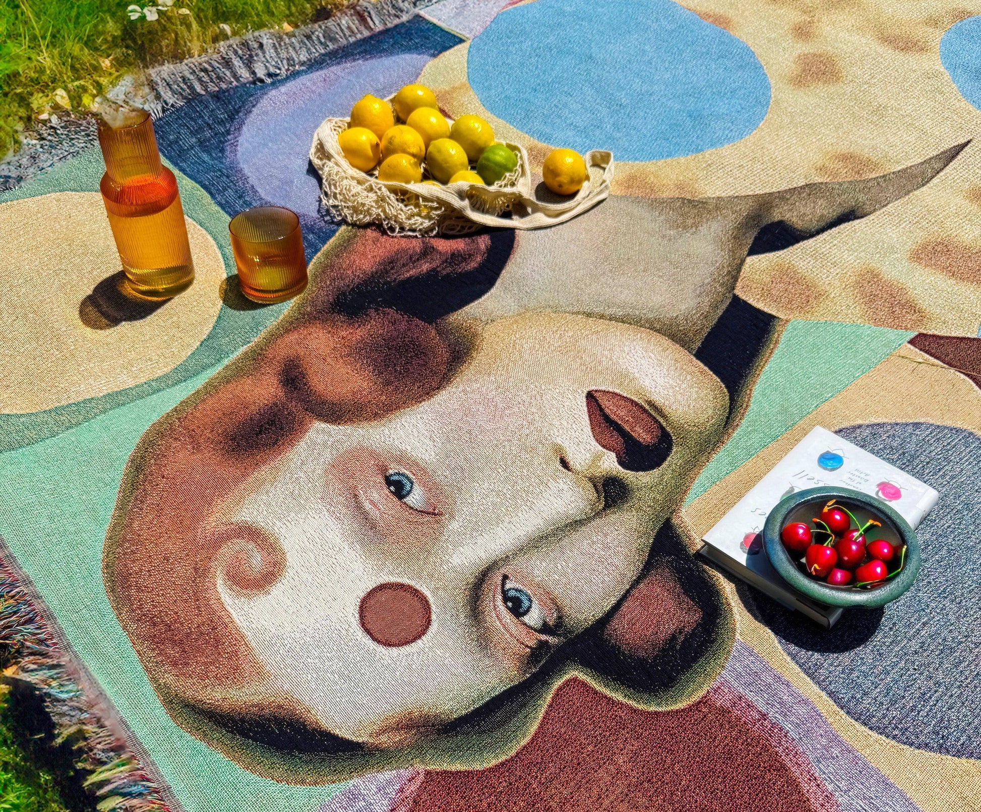 CIRCLES woven art blanket with fruit